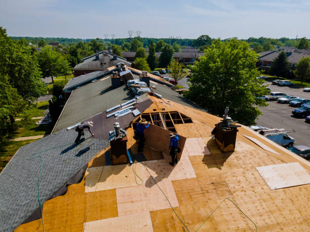 Best Flat Roof Repair Services  in Central City, IA