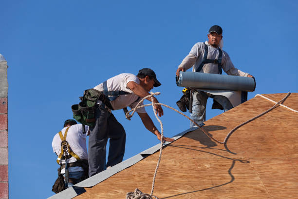 Best Roof Leak Repair  in Central City, IA