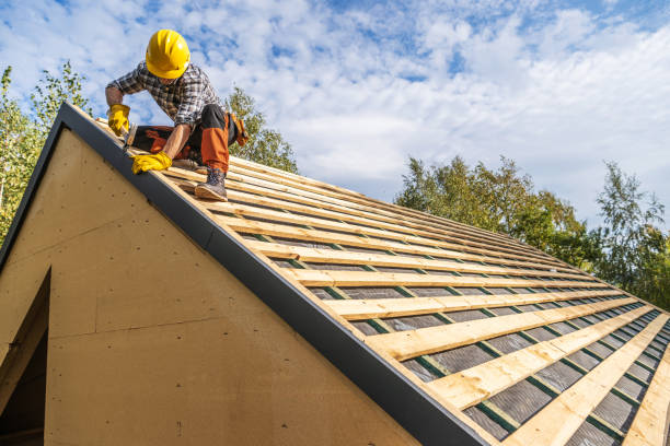 Best Roof Leak Repair  in Central City, IA