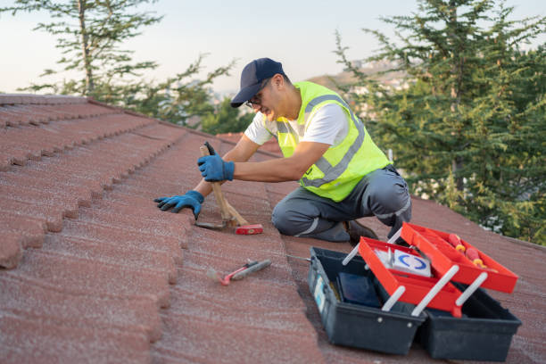 Best Sealant for Roof  in Central City, IA