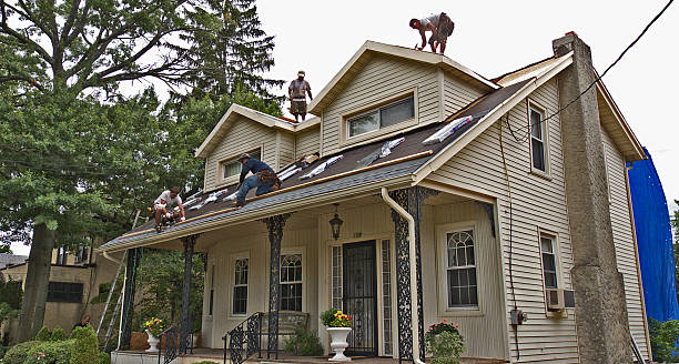 Best Roof Waterproofing Services  in Central City, IA